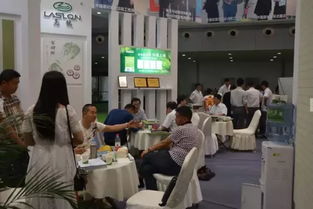 亮龍硅藻泥加速布局中西部，重慶技術(shù)服務引領行業(yè)新篇章——專訪亮龍硅藻泥魏保義